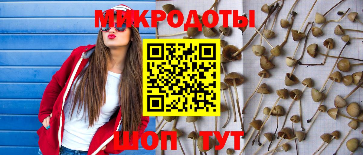 Новокубанск  Псилоцибиновые грибы MAGIC MUSHROOMS  Галлюциногенные грибы мицелий  Вход с VPN 